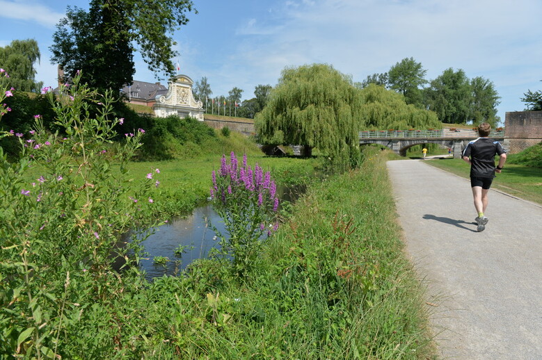 5 spots pour courir dans la métropole lilloise